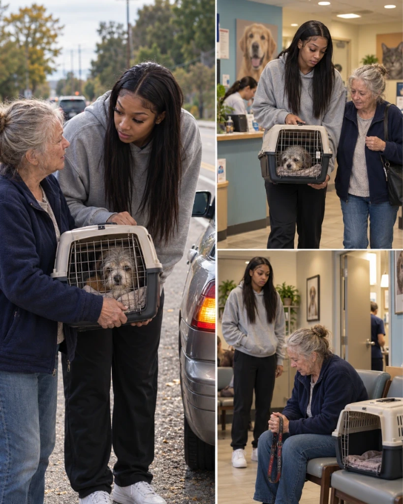 “ANGEL REESE TURNED THE CAR AROUND — BUT WHAT SHE SAW LATER AT THE VET CLINIC MADE HER STOP AGAIN…